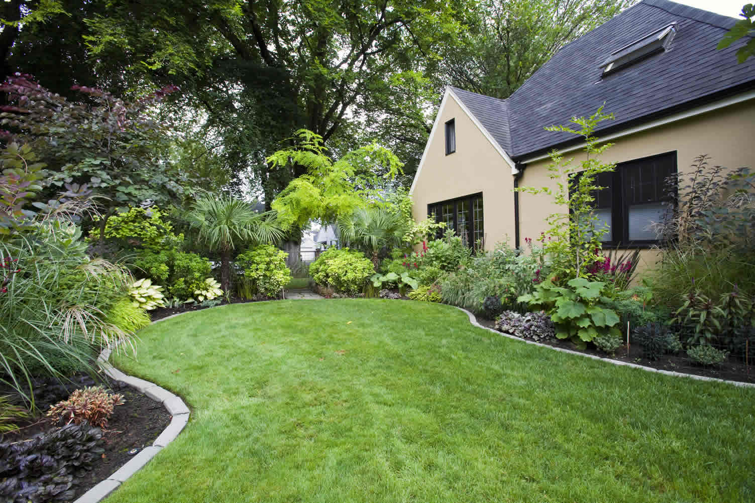 choose the best garden plants