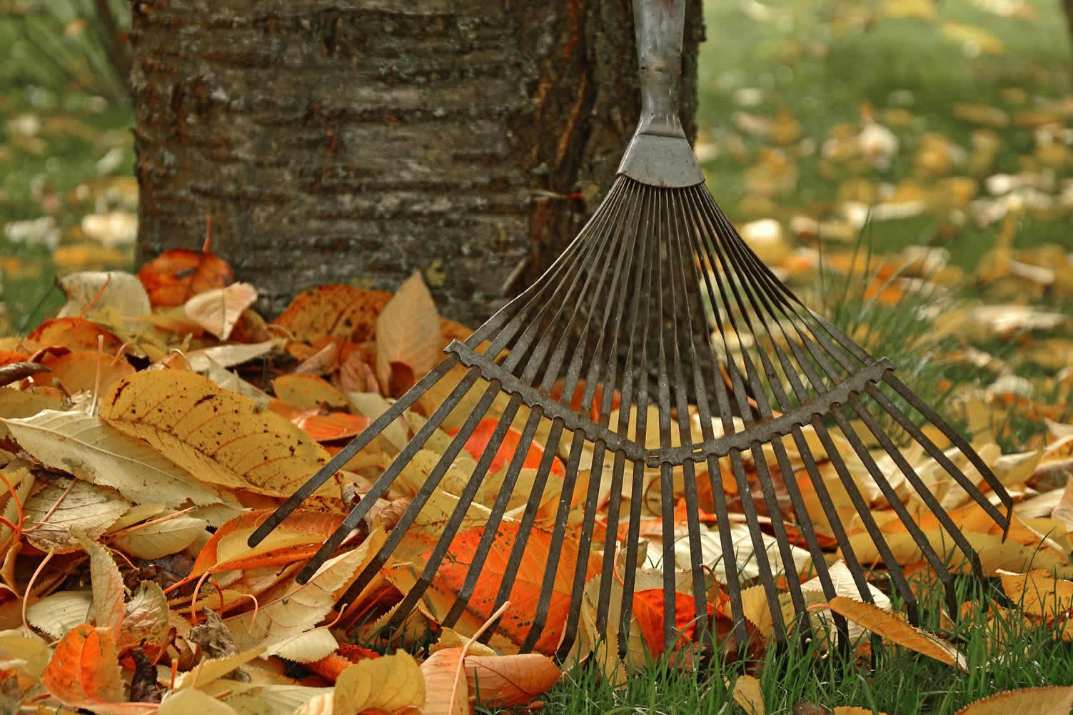 october begins