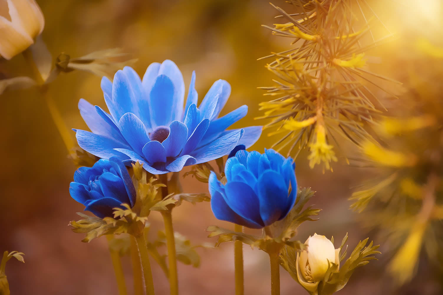spring flowers