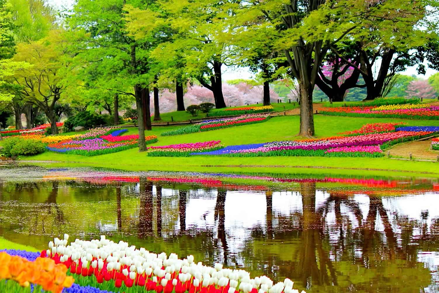 best landscape gardens