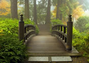 garden bridge