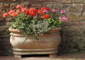 garden containers