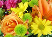 garden flowers