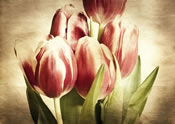 art painting