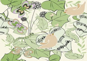 wall coverings