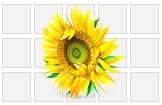 featured-garden