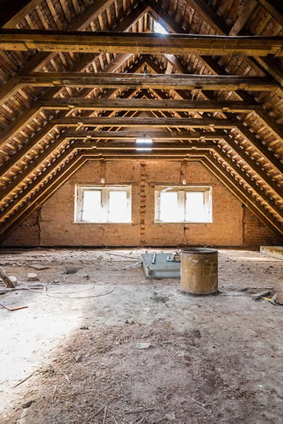 basement & attic